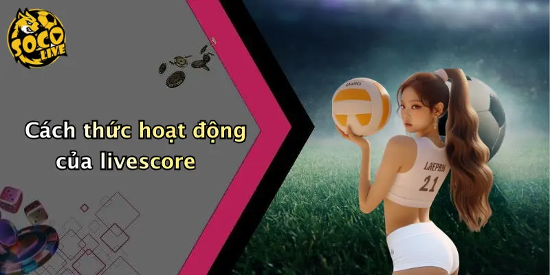 Cách thức hoạt động của livescore