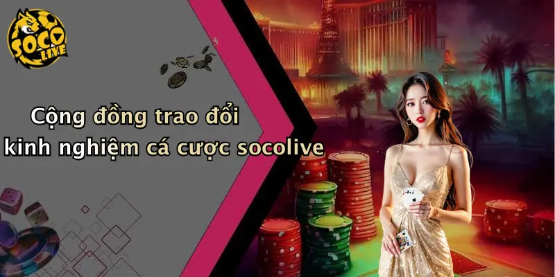 Cộng đồng trao đổi kinh nghiệm cá cược socolive