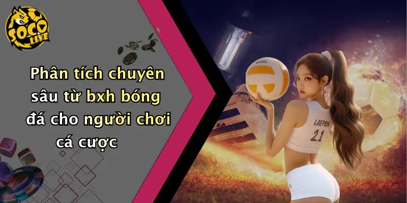 Phân tích chuyên sâu từ bxh bóng đá cho người chơi cá cược