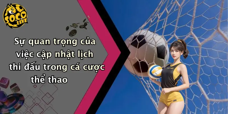 Sự quan trọng của việc cập nhật lịch thi đấu trong cá cược thể thao