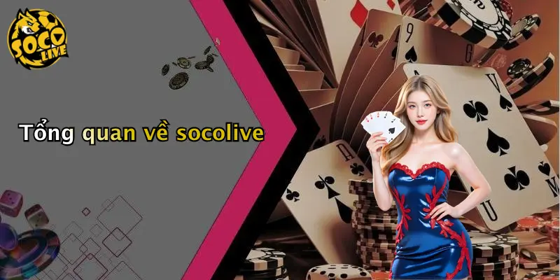 Tổng quan về socolive