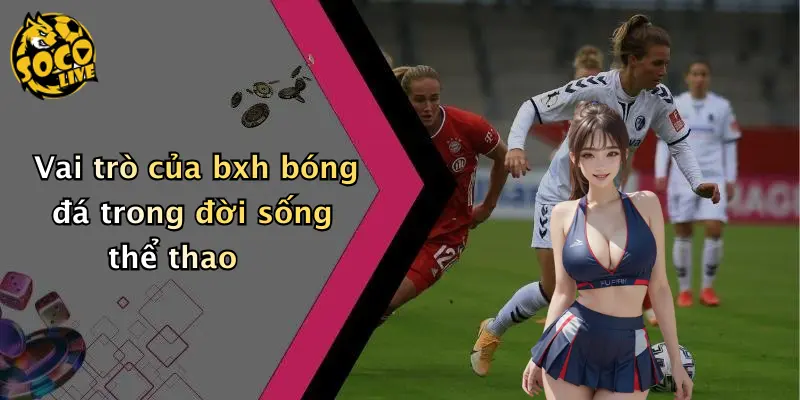 Vai trò của bxh bóng đá trong đời sống thể thao